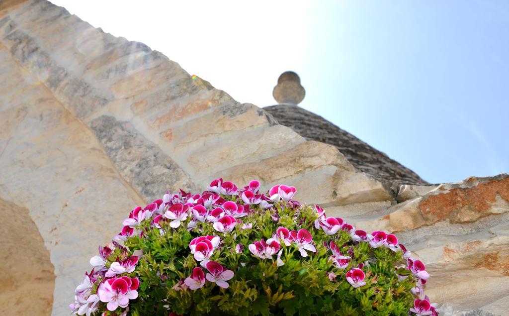 Il Trullo Del Mirto Βίλα Selva Di Fasano Εξωτερικό φωτογραφία